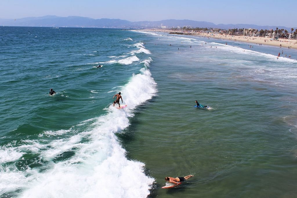 A few surfers taking to the waves on Venice beach