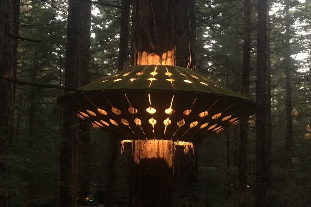 One of the large lights hanging in the forest
