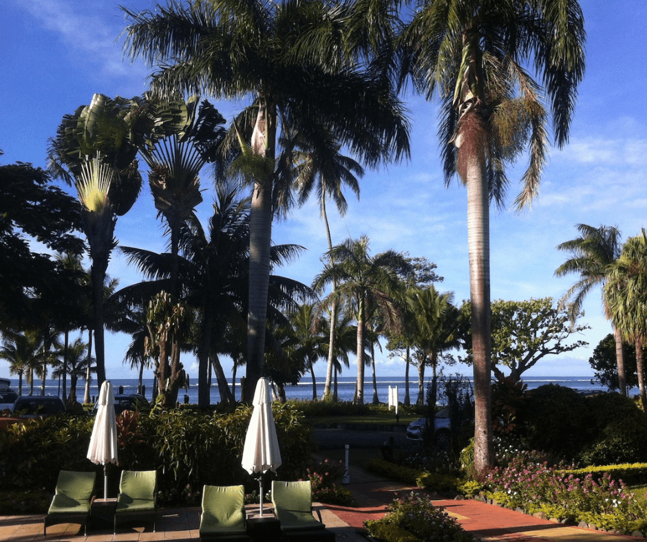 View from the hotel through the palm trees and out at the water