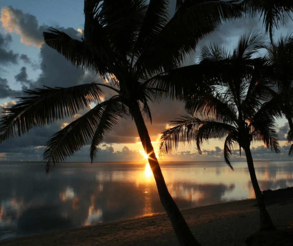Sunset view through the palm trees and across the sea