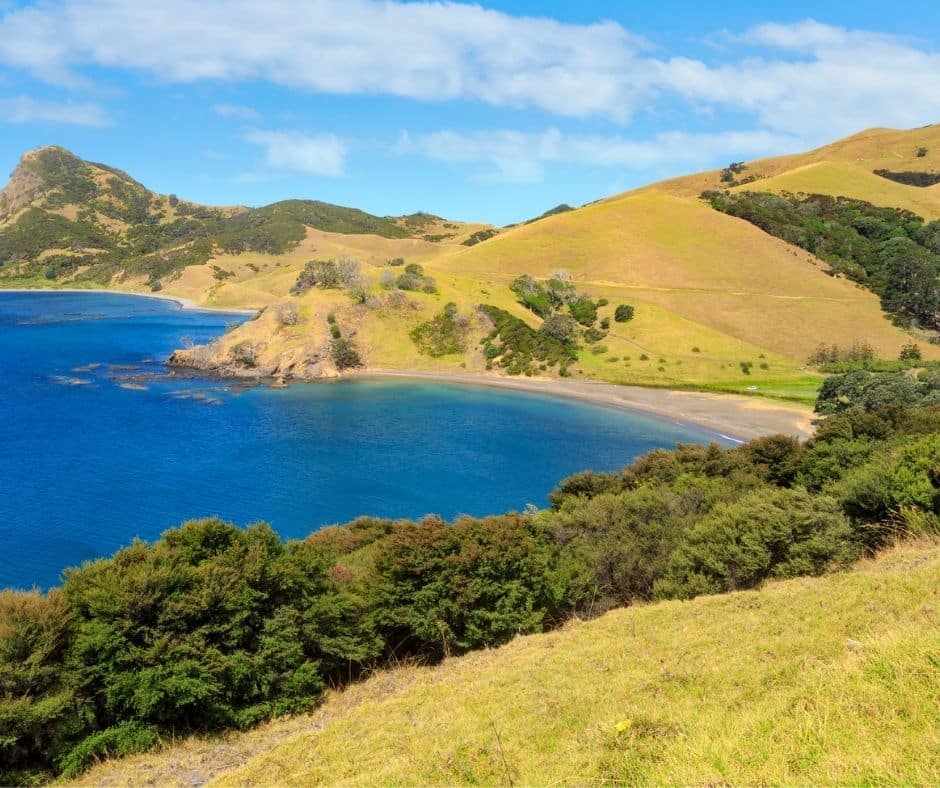 The last stop in the far north, scenic Fletcher Bay makes this one of the best beaches in the Coromandel