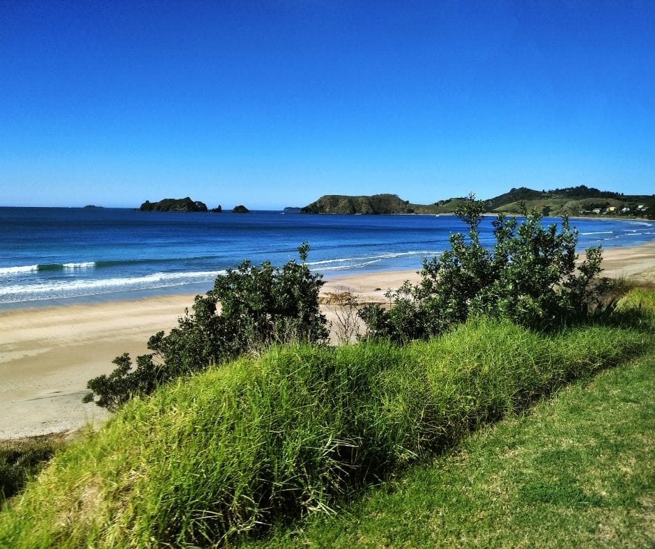 View of the Opito bay, one of the best beaches in the Coromandel