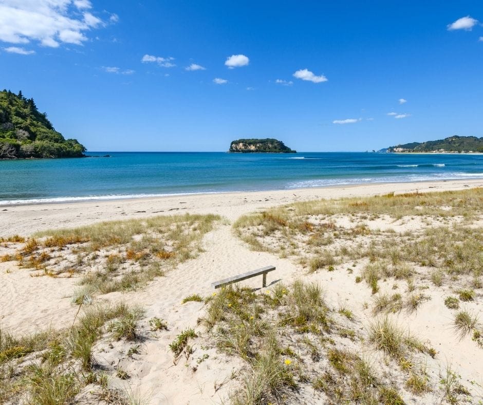 One of the best beches in the Coromandel. The flower covered sand dunes of Whangamata Beach