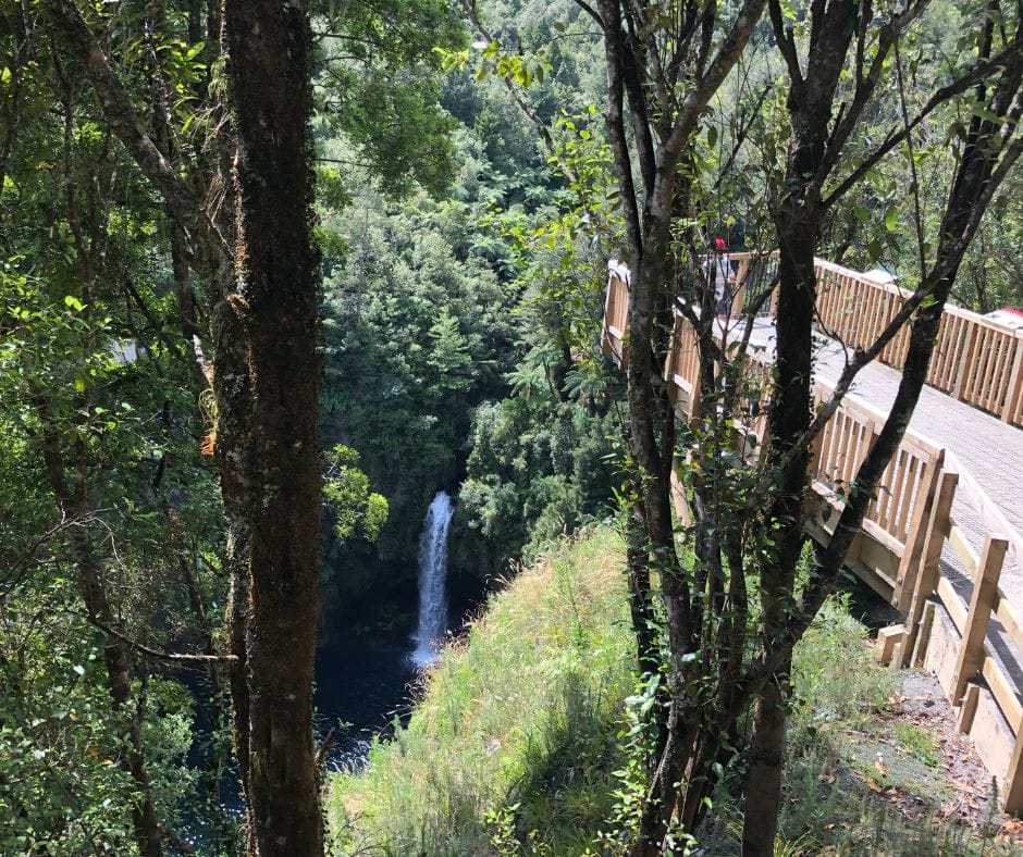 View of Omanawa Falls waterfall from the Wairere Tapu Lookout, it's a long way down