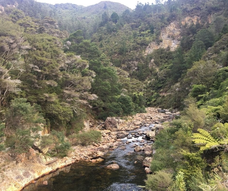 Looking up the Ohinemuri river and through the Karangahake gorge to the hills in the background