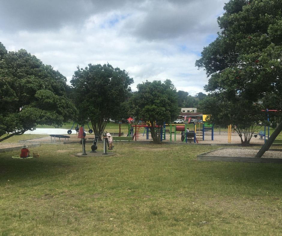 Maraetōtara playground, great spot for lunch and the kids to play