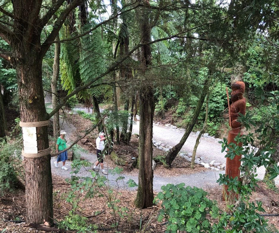 The start of the Ōmanawa Falls walk. You will be greeted by Pou Ahu. This is where the Kōkiri Loop track is too.
