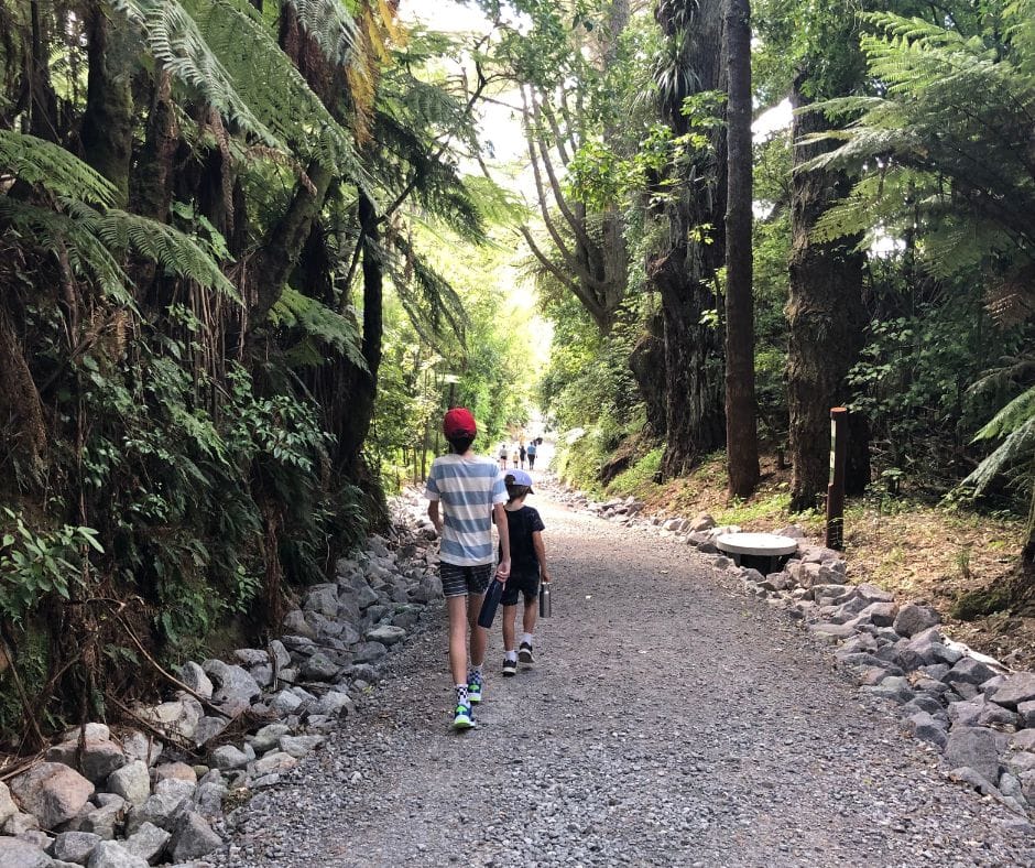 The boys making their way down the track to Tītoki Junction with the forest surrounding them